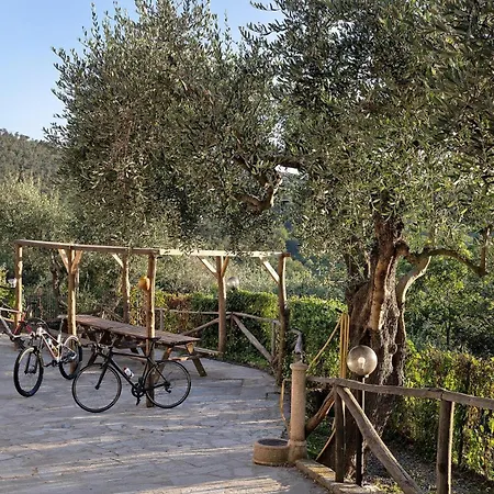 Casa Chicken2 -mare, Monti E Bikers Apartman